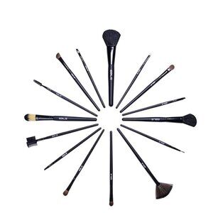 Professional 15pc Makeup Artist Cosmetics Make Up Brushes Set and Case By VAGA
